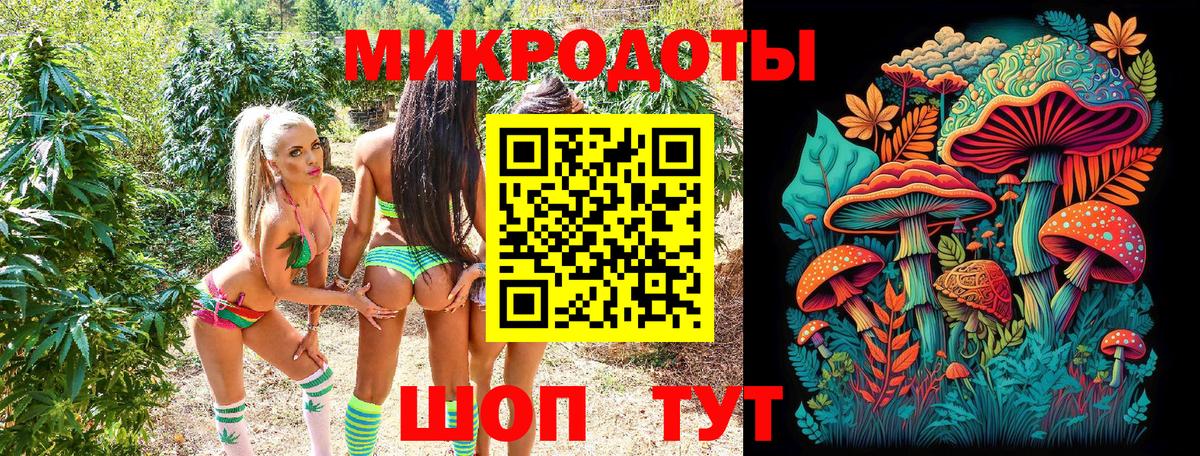 Кудрово  Галлюциногенные грибы Psilocybe  Вход с VPN 