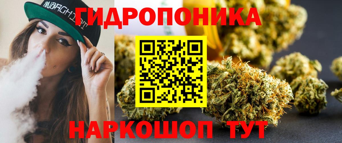 Бошки Шишки индика Кудрово